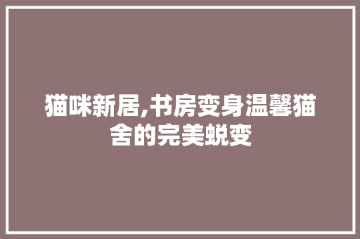 猫咪新居,书房变身温馨猫舍的完美蜕变