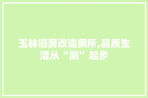 玉林旧房改造厕所,品质生活从“厕”起步