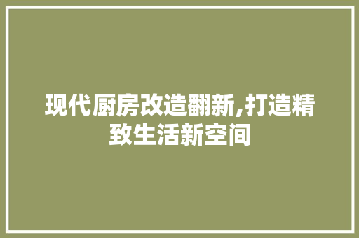 现代厨房改造翻新,打造精致生活新空间