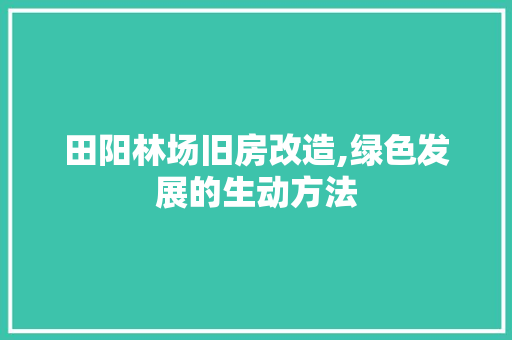 田阳林场旧房改造,绿色发展的生动方法