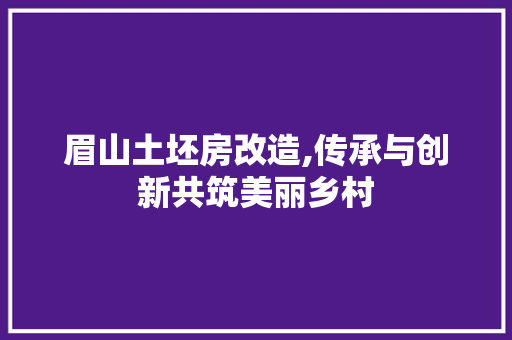 眉山土坯房改造,传承与创新共筑美丽乡村
