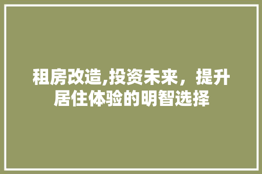 租房改造,投资未来，提升居住体验的明智选择
