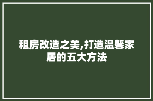 租房改造之美,打造温馨家居的五大方法