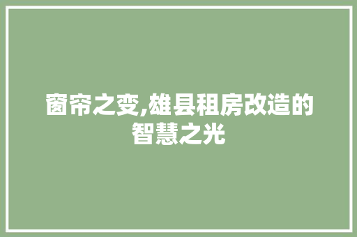 窗帘之变,雄县租房改造的智慧之光