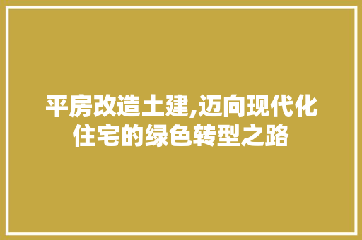 平房改造土建,迈向现代化住宅的绿色转型之路
