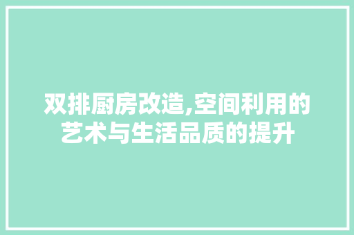 双排厨房改造,空间利用的艺术与生活品质的提升