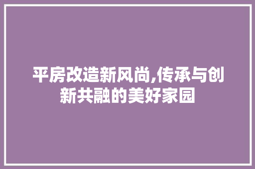 平房改造新风尚,传承与创新共融的美好家园
